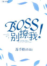 boss别撩我by